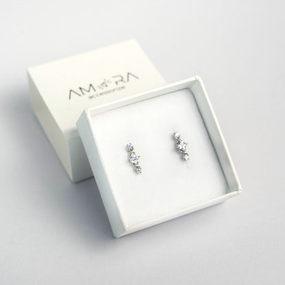 Pendientes Brillo Plata